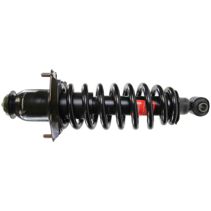 Monroe Shocks & Struts Suspension Strut and Coil Spring Assembly 171375R