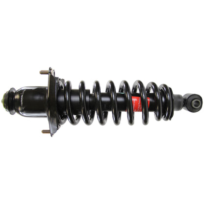 Monroe Shocks & Struts Suspension Strut and Coil Spring Assembly 171375R