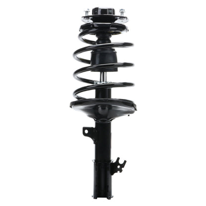 Monroe Shocks & Struts Suspension Strut and Coil Spring Assembly 171678