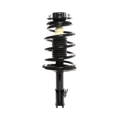 Monroe Shocks & Struts Suspension Strut and Coil Spring Assembly 171979