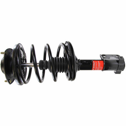 Monroe Shocks & Struts Suspension Strut and Coil Spring Assembly 172139