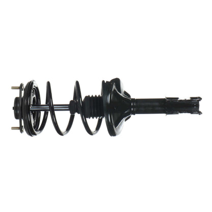 Monroe Shocks & Struts Suspension Strut and Coil Spring Assembly 172142