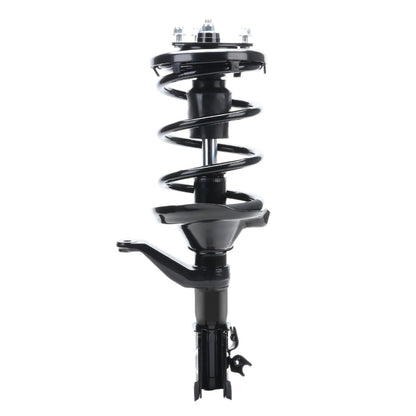Monroe Shocks & Struts Suspension Strut and Coil Spring Assembly 172143