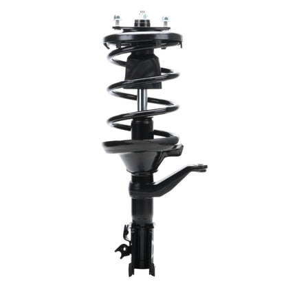 Monroe Shocks & Struts Suspension Strut and Coil Spring Assembly 172144
