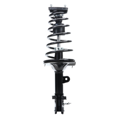 Monroe Shocks & Struts Suspension Strut and Coil Spring Assembly 172221