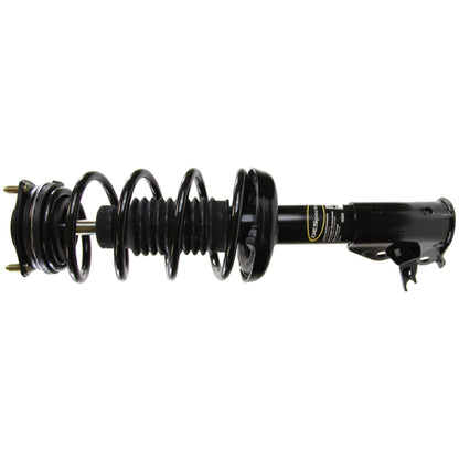 Monroe Shocks & Struts Suspension Strut and Coil Spring Assembly 172285