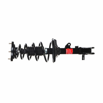 Monroe Shocks & Struts Suspension Strut and Coil Spring Assembly 172304