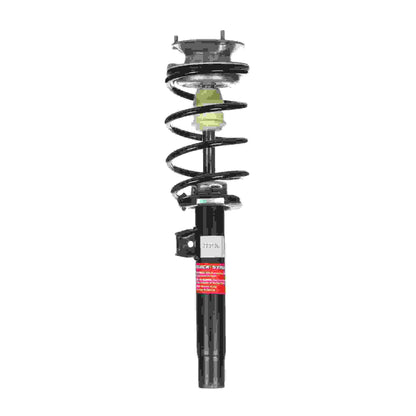 Monroe Shocks & Struts Suspension Strut and Coil Spring Assembly 172313