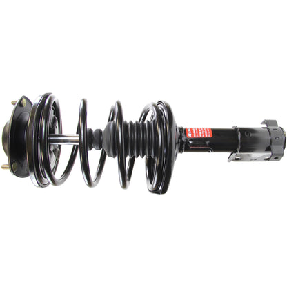 Monroe Shocks & Struts Suspension Strut and Coil Spring Assembly 172348