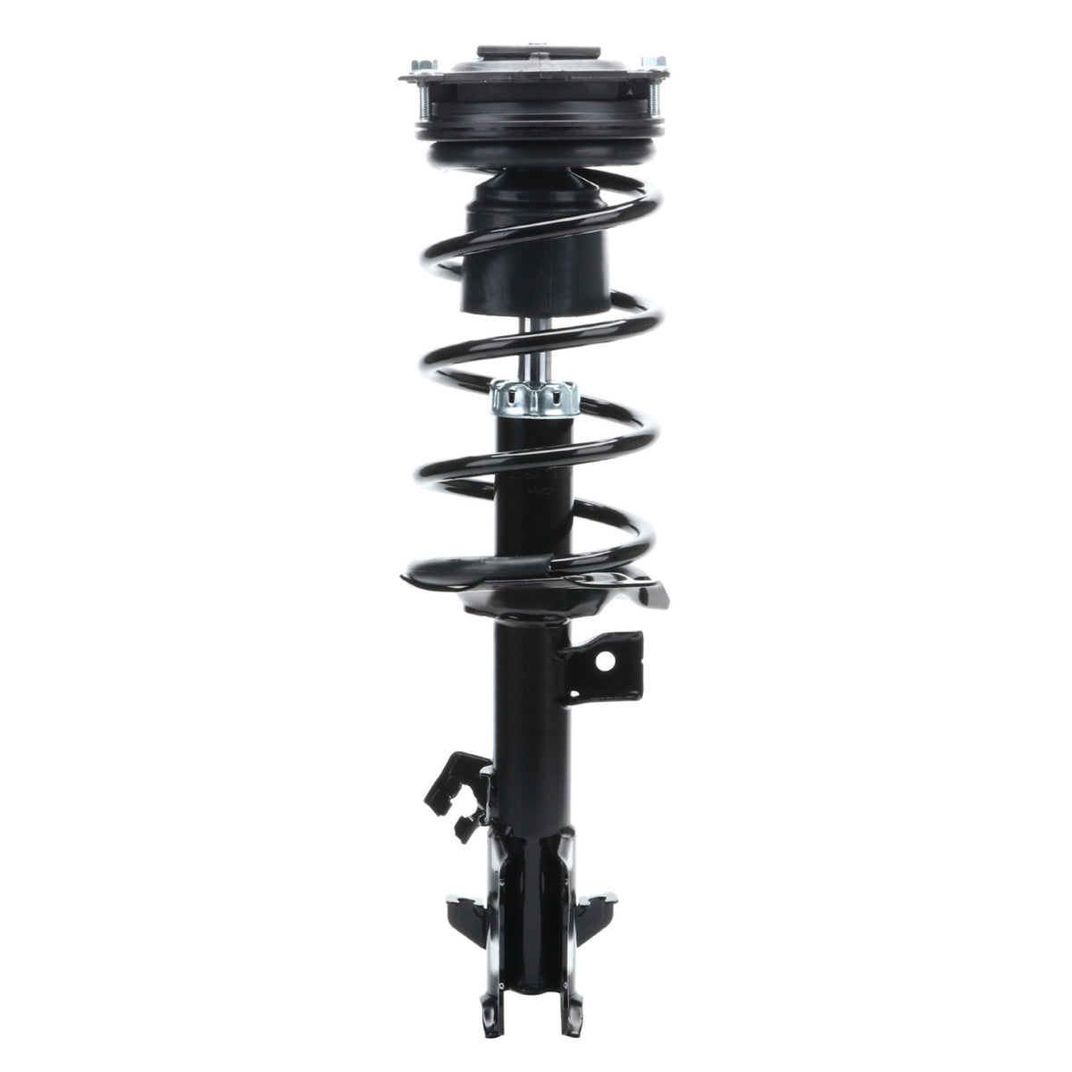 Monroe Shocks & Struts Suspension Strut and Coil Spring Assembly 172352