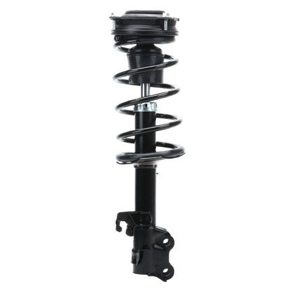 Monroe Shocks & Struts Suspension Strut and Coil Spring Assembly 172352