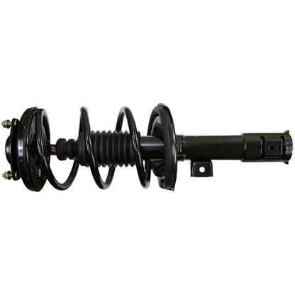 Monroe Shocks & Struts Suspension Strut and Coil Spring Assembly 172356