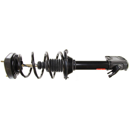 Monroe Shocks & Struts Suspension Strut and Coil Spring Assembly 172415