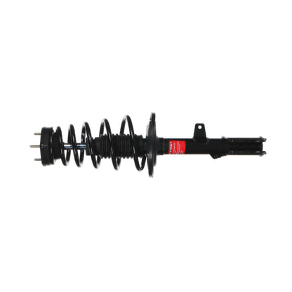 Monroe Shocks & Struts Suspension Strut and Coil Spring Assembly 172455