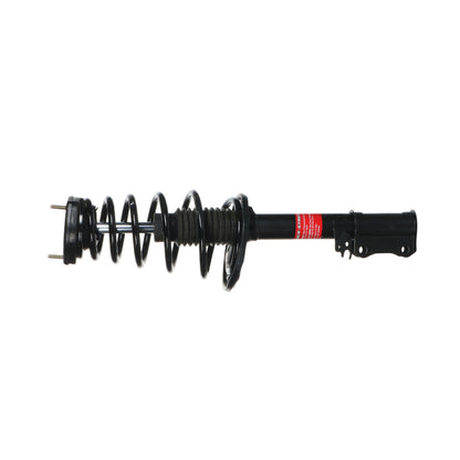 Monroe Shocks & Struts Suspension Strut and Coil Spring Assembly 172456
