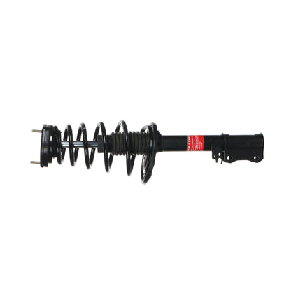 Monroe Shocks & Struts Suspension Strut and Coil Spring Assembly 172456