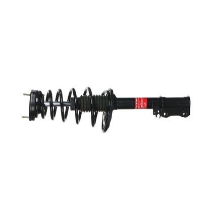 Monroe Shocks & Struts Suspension Strut and Coil Spring Assembly 172456