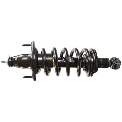 Monroe Shocks & Struts Suspension Strut and Coil Spring Assembly 172497R