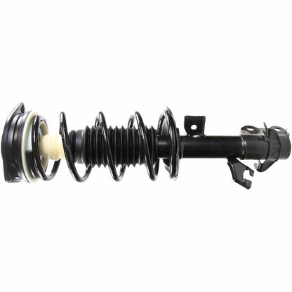 Monroe Shocks & Struts Suspension Strut and Coil Spring Assembly 172498