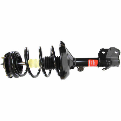 Monroe Shocks & Struts Suspension Strut and Coil Spring Assembly 172537