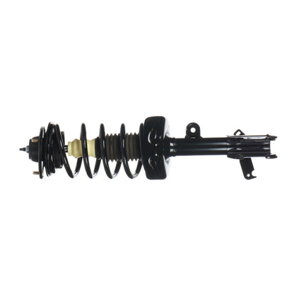 Monroe Shocks & Struts Suspension Strut and Coil Spring Assembly 172542