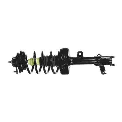 Monroe Shocks & Struts Suspension Strut and Coil Spring Assembly 172542