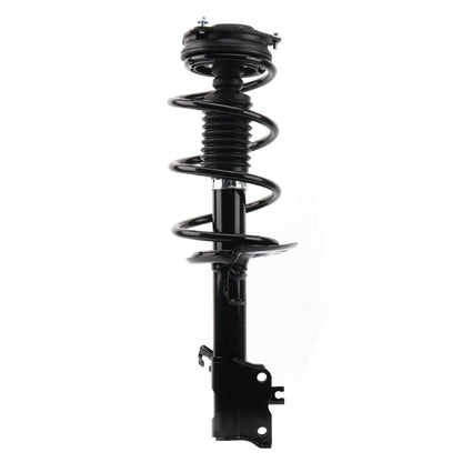 Monroe Shocks & Struts Suspension Strut and Coil Spring Assembly 172608