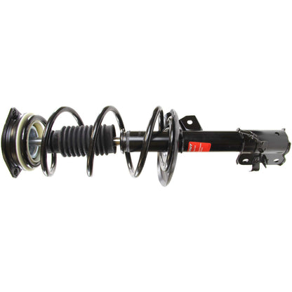 Monroe Shocks & Struts Suspension Strut and Coil Spring Assembly 172608