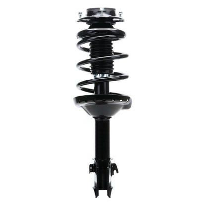 Monroe Shocks & Struts Suspension Strut and Coil Spring Assembly 172679