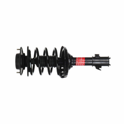 Monroe Shocks & Struts Suspension Strut and Coil Spring Assembly 172681