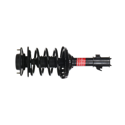 Monroe Shocks & Struts Suspension Strut and Coil Spring Assembly 172681
