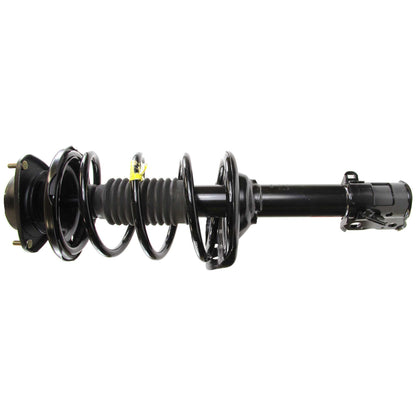 Monroe Shocks & Struts Suspension Strut and Coil Spring Assembly 172685