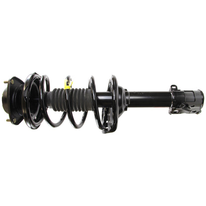 Monroe Shocks & Struts Suspension Strut and Coil Spring Assembly 172685