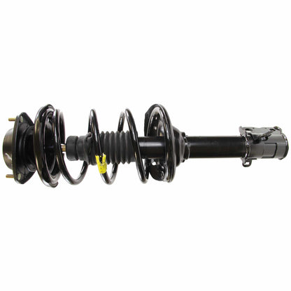Monroe Shocks & Struts Suspension Strut and Coil Spring Assembly 172686