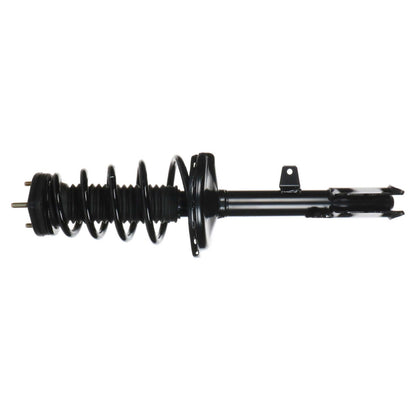 Monroe Shocks & Struts Suspension Strut and Coil Spring Assembly 172764