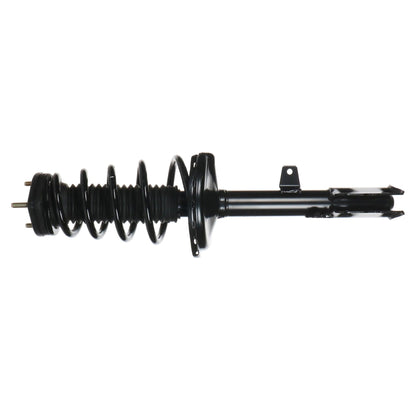 Monroe Shocks & Struts Suspension Strut and Coil Spring Assembly 172764