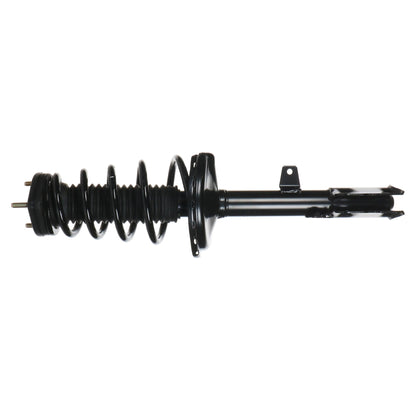 Monroe Shocks & Struts Suspension Strut and Coil Spring Assembly 172764