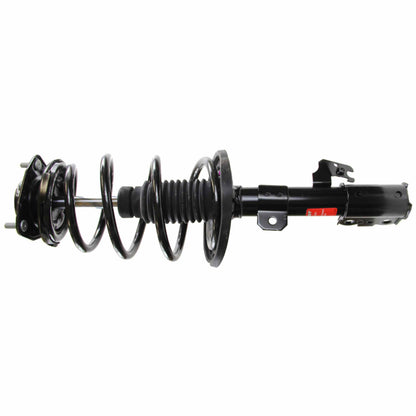 Monroe Shocks & Struts Suspension Strut and Coil Spring Assembly 172782