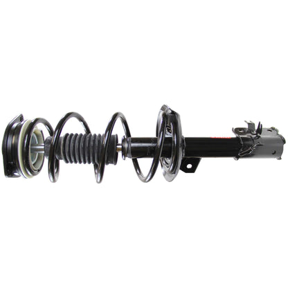 Monroe Shocks & Struts Suspension Strut and Coil Spring Assembly 172898