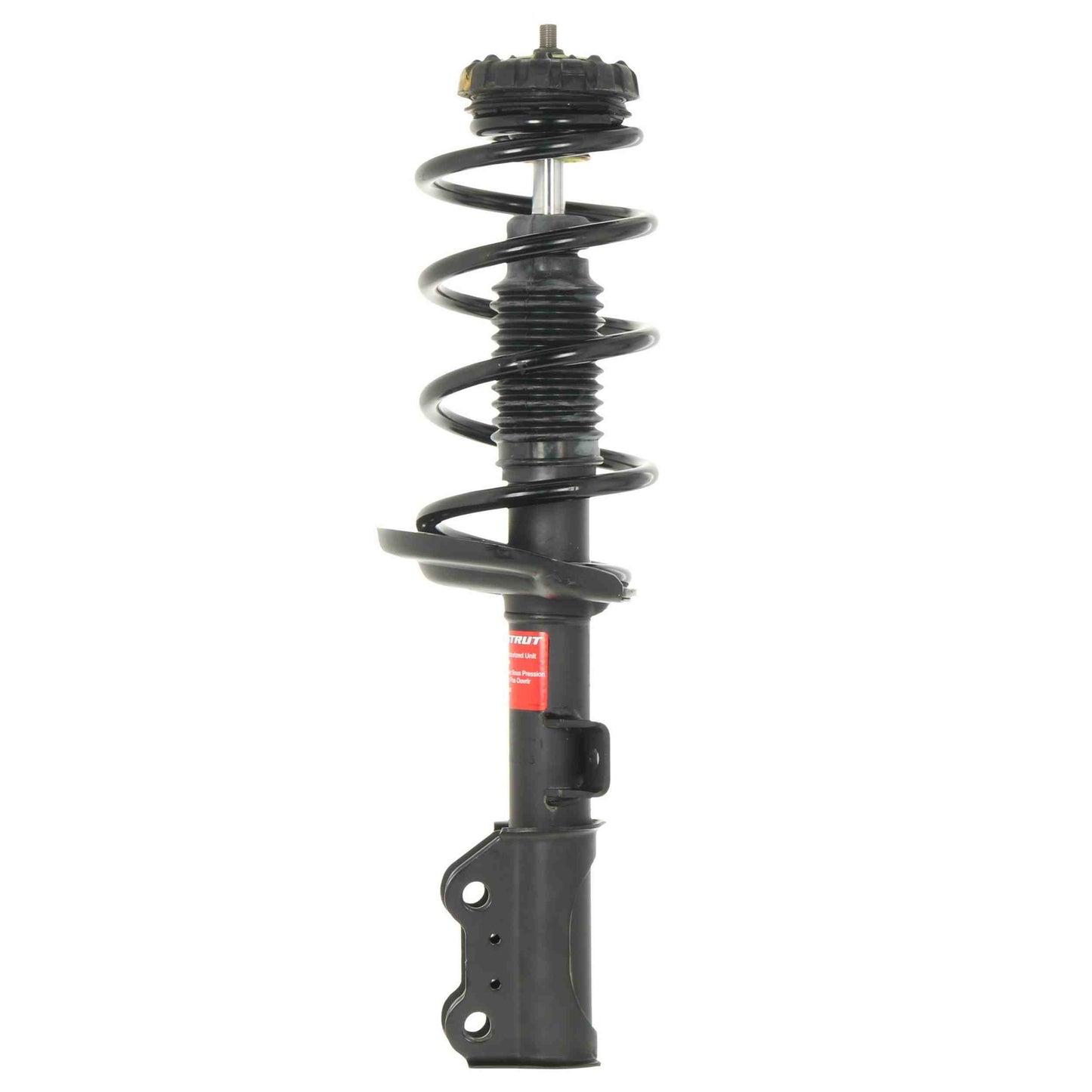 Monroe Shocks & Struts Suspension Strut and Coil Spring Assembly 172909