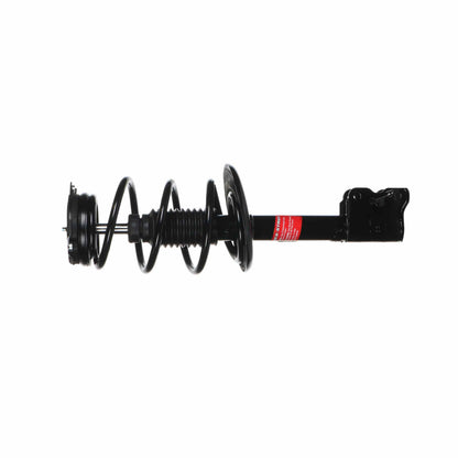 Monroe Shocks & Struts Suspension Strut and Coil Spring Assembly 172956