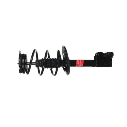 Monroe Shocks & Struts Suspension Strut and Coil Spring Assembly 172956