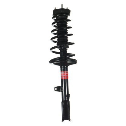 Monroe Shocks & Struts Suspension Strut and Coil Spring Assembly 172966