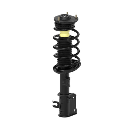 Monroe Shocks & Struts Suspension Strut and Coil Spring Assembly 172985