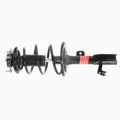 Monroe Shocks & Struts Suspension Strut and Coil Spring Assembly 172993