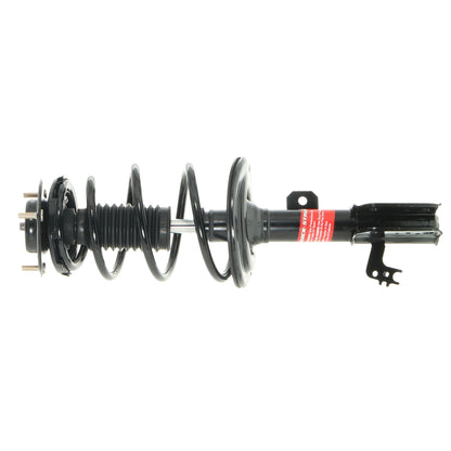 Monroe Shocks & Struts Suspension Strut and Coil Spring Assembly 172993