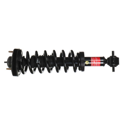 Monroe Shocks & Struts Suspension Strut and Coil Spring Assembly 173031L