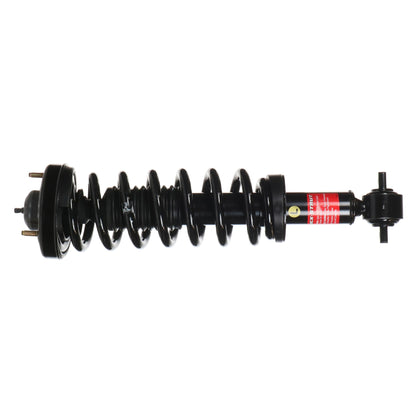 Monroe Shocks & Struts Suspension Strut and Coil Spring Assembly 173031L