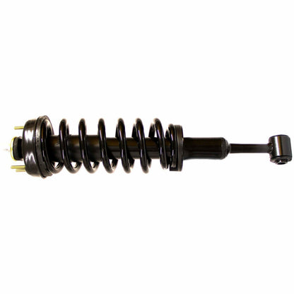 Monroe Shocks & Struts Suspension Strut and Coil Spring Assembly 181124