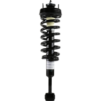 Monroe Shocks & Struts Suspension Strut and Coil Spring Assembly 181124